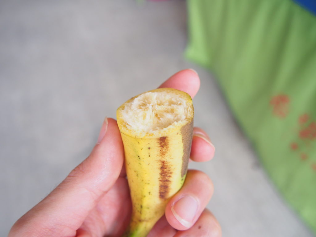 台湾バナナの試食
