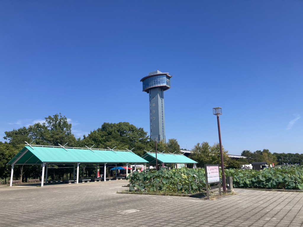 古代蓮会館