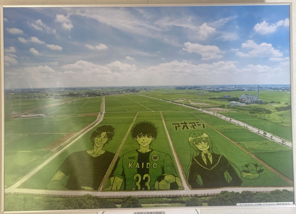 アオアシの田んぼアート