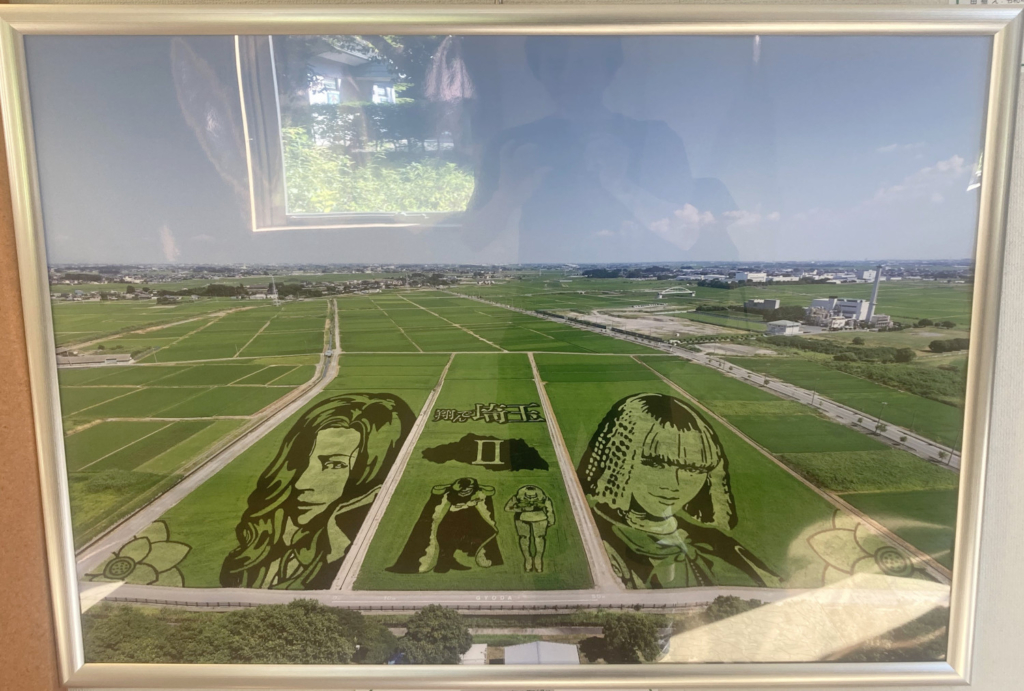 翔んで埼玉の田んぼアート